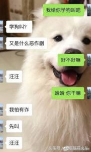 实用搭讪套路大揭秘!-泡学网-奕声情感,PUA,展示面,撩妹,聊天,情感挽回,泡学书籍,迷男方法,泡学网白鹤,搭讪,恋爱技巧,泡妞秘籍,社交软件,怎么追女生