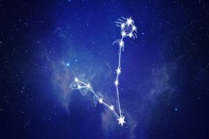 11月份是什么星座-泡学网-奕声情感,PUA,展示面,撩妹,聊天,情感挽回,泡学书籍,迷男方法,泡学网白鹤,搭讪,恋爱技巧,泡妞秘籍,社交软件,怎么追女生