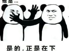 一段感动到哭的表白,你却感动到哭-泡学网-奕声情感,PUA,展示面,撩妹,聊天,情感挽回,泡学书籍,迷男方法,泡学网白鹤,搭讪,恋爱技巧,泡妞秘籍,社交软件,怎么追女生